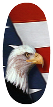 DASOV 410 With Love and Honor